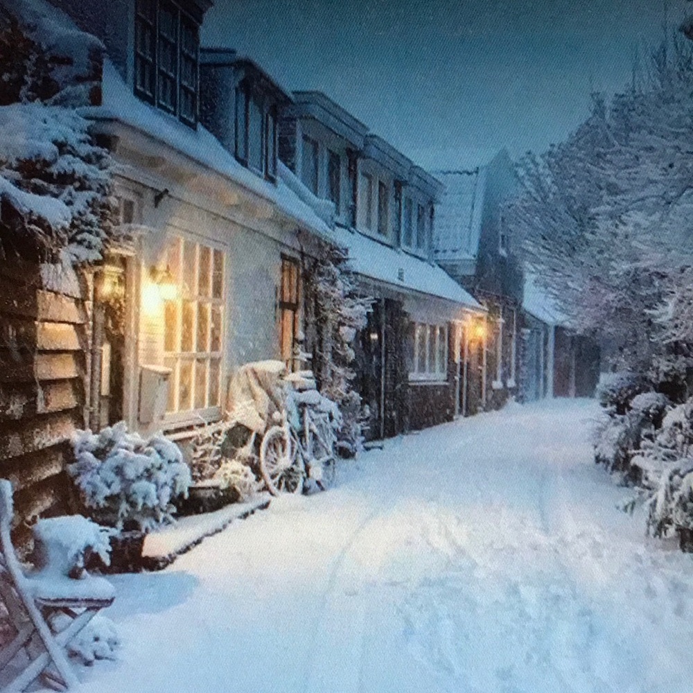 Meet your Posher, Jamie L